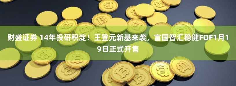 财盛证券 14年投研积淀！王登元新基来袭，富国智汇稳健FOF1月19日正式开售